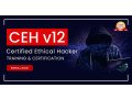 ethical-hacker-certification-training-small-0