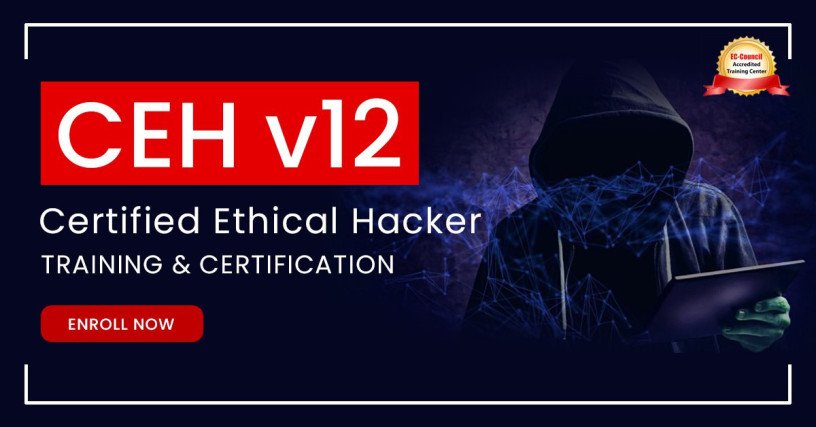 master-cybersecurity-defense-ethical-hacker-online-training-big-0