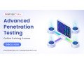 penetration-testing-training-master-the-art-of-ethical-hacking-small-0