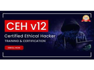 TOP CEH CERTIFICATION TRAINING WITH HANDS-ON HACKING CHALLENGES