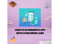 leading-ecommerce-app-development-dubai-company-code-brew-labs-small-0