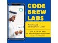 best-mobile-app-development-dubai-company-code-brew-labs-small-0
