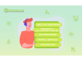 grow-your-business-with-bizessence-top-notch-hr-solutions-in-australia-small-0