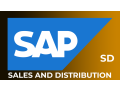 sap-sd-training-in-india-us-canada-uk-small-0