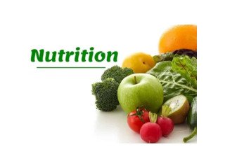 Become a Certified Holistic Nutritionist