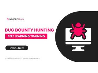 Bug Bounty Online Training