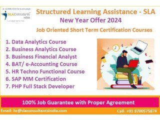 HR Course,100% Job, Salary upto 5.5 LPA, SLA Human Resource Training Classes, Payroll, SAP HCM, Delhi, Noida, Ghaziabad, Gurgaon.