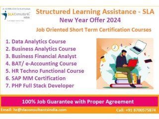 Job Oriented Excel Course in Delhi, with Free Python by SLA Consultants Institute,  Order to Cash Analytics Certification [100% Placement]