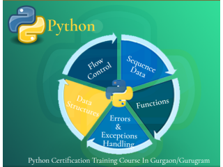 Python Data Science Training Course, Delhi, Faridabad, Ghaziabad, 100% Job Support, Program & Fee
