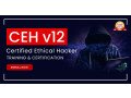 online-ethical-hacker-training-course-small-0