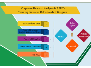 Financial Modelling Course in Delhi,110053. Best Online Live Financial Analyst Training in Banaras by IIT Faculty , [ 100% Job in MNC]