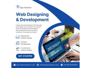 Best Web Development Services | Custom Website Development | Egiz Solution
