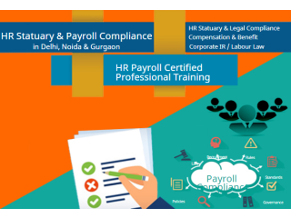 HR Training Certification in Delhi, Noida, Ghaziabad, SLA Institute, Visual Pay Payroll Course