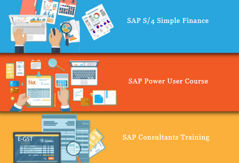 sap-finance-certification-in-laxmi-nagar-delhi-sla-institute-bat-training-classes-big-0