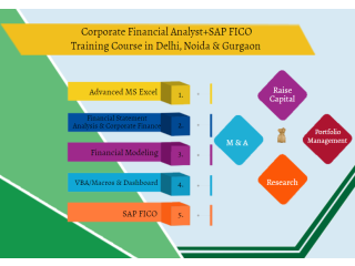 Financial Analyst Program in Delhi, "SLA Consultants" Data Modelling Classes, Equity, Valuation, Corporate Finance Course,