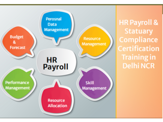 HR Payroll Institute in Delhi, Ghaziabad, Noida, SLA Classes, SAP HCM Certification, HR Training Course, 2023 Offer,