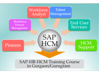 HR Training in Delhi, Preet Vihar, SLA Human Resource Institute, Payroll, Analytics, SAP HCM Certification Course,