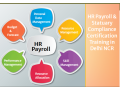 hr-payroll-course-in-delhi-sla-certificate-hr-analyst-course-for-hrbp-sap-hcm-payroll-institute-31jan-23-offer-small-0