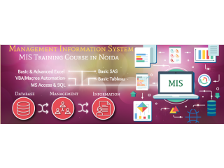 Best Excel & MIS Courses and Training | Learn Excel & MIS Online for All Levels