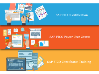 Online SAP FICO Certification Course in  Delhi, Noida, Ghaziabad with Tally and Free SAP FICO, 100% Job