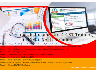 Accounting Institute in Delhi, Preet Vihar, SLA Taxation Course, Tally, Banking, GST Training Certification, 100% Job
