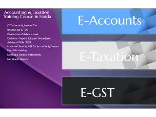 Accounting Course in Noida, SLA Taxation Classes, GST, Tally, SAP FICO Training,