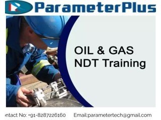 Attain The Top NDT Training Institute in Darbhanga By ParameterPlus