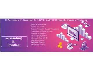 Accounting Course in Noida, SLA Institute, Ghaziabad, Tally, SAP Finance Certification, BAT Training Classes, 100% Job