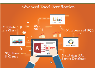 Excel & MIS Courses - Build Excel & MIS Skills - Delhi & Noida With 100% Job in MNC - Best Offer