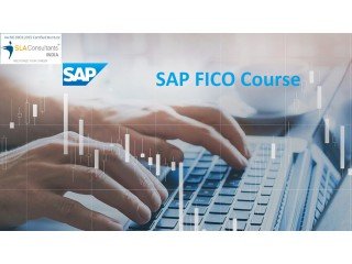 SAP FICO Classes in Dwarka, Delhi by SLA Institute, with Accounting, Taxation, Tally & GST Certification, 100% Job Placement