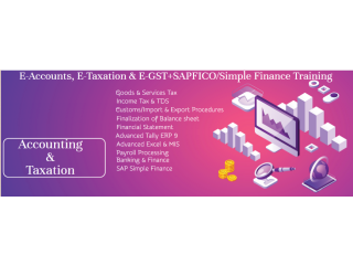 Accounting Course in Delhi, Kirti Nagar, Tally, GST, SAP FICO Certification by SLA Institute, 100% Job Placement