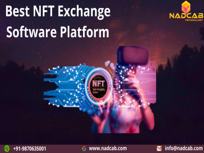 best-nft-exchange-software-platform-big-0