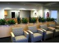 indoor-plant-maintenance-services-small-0
