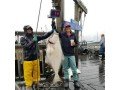 guided-fishing-trip-in-seward-alaska-small-0