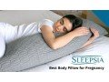 best-body-pillow-small-0