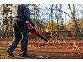 landscaping-fall-cleanup-small-0