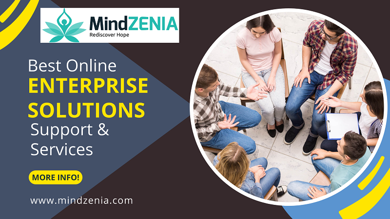 best-enterprise-solutions-online-services-at-mindzenia-big-0