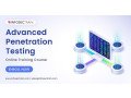 mastering-advanced-penetration-testing-online-training-small-0