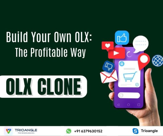 build-your-own-olx-the-profitable-way-big-0