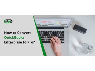 How to Convert QuickBooks Enterprise to Pro?