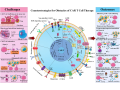 car-t-cell-therapy-a-novel-approach-to-tailored-cancer-management-small-0