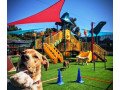 top-dog-day-camp-near-me-south-park-adventureland-small-0