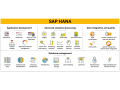 application-lifecycle-manager-for-sap-hana-small-0