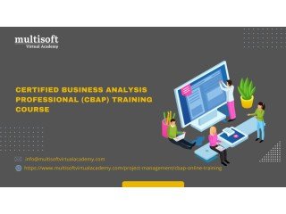 Certified Business Analysis Professional (CBAP) Training Course