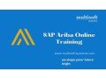 sap-ariba-online-training-course-small-0