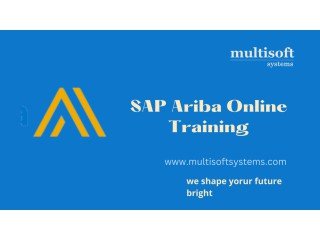 SAP Ariba online Training course