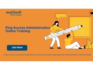Ping Access Administration Online Training