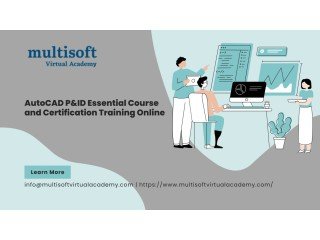 AutoCAD P&ID Essential Course and Certification Training Online