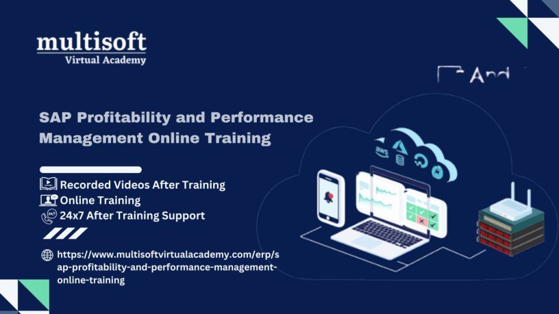 sap-profitability-and-performance-management-online-training-big-0