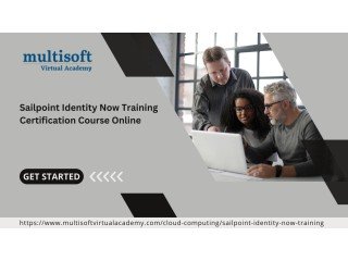 Sailpoint Identity Now Training Certification Course Online